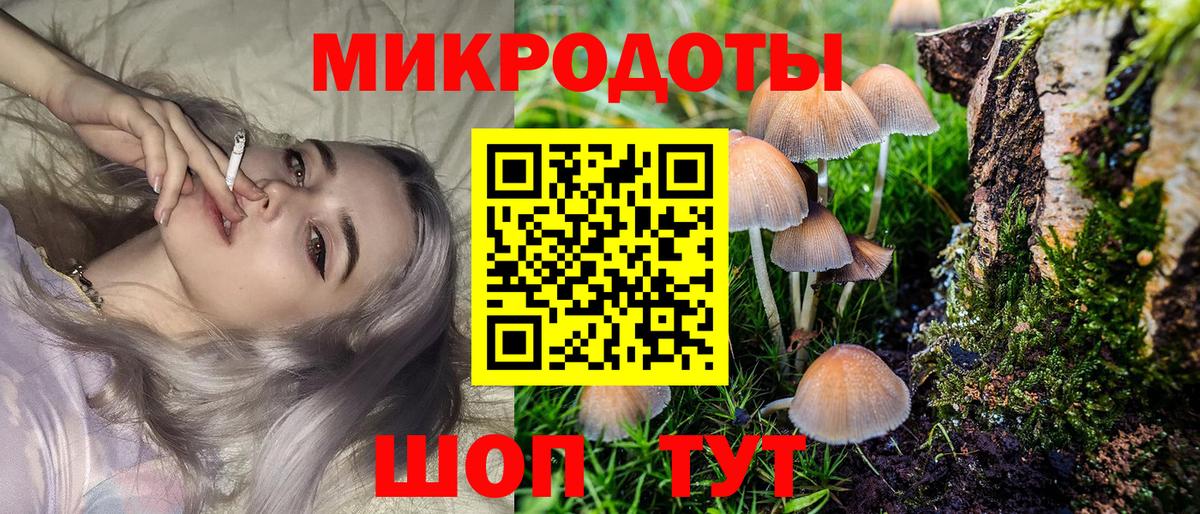Псилоцибиновые грибы MAGIC MUSHROOMS Артёмовский