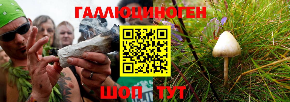 Псилоцибиновые грибы мицелий Артёмовский