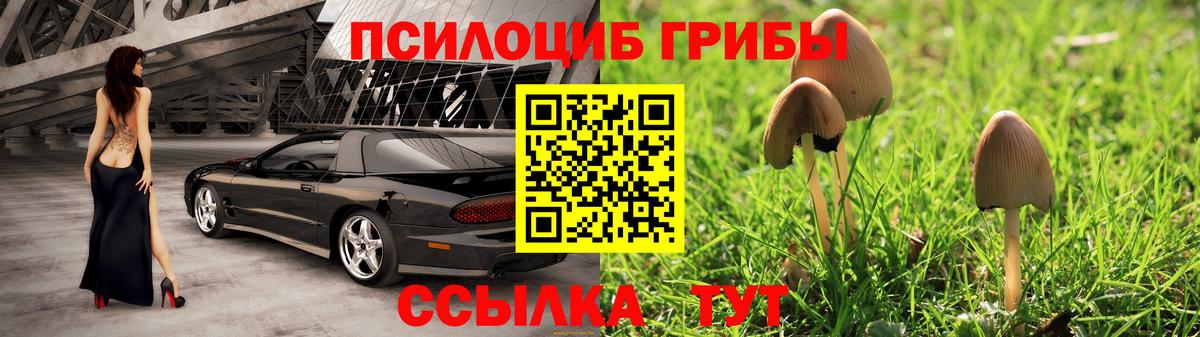 Псилоцибиновые грибы Psilocybe  Артёмовский 